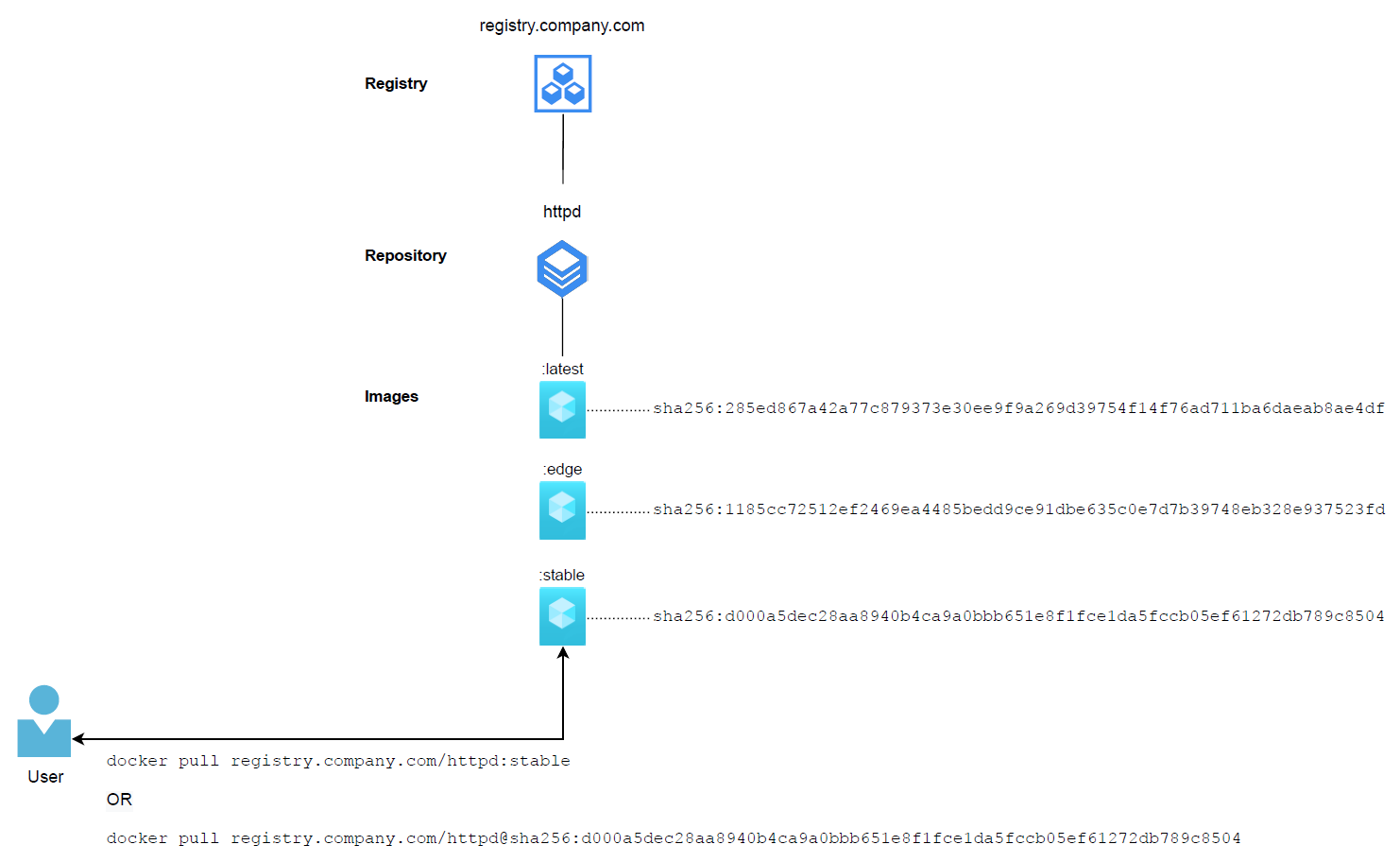 Example of a user pulling a container image from a registry using its name and tag or SHA256 image digest